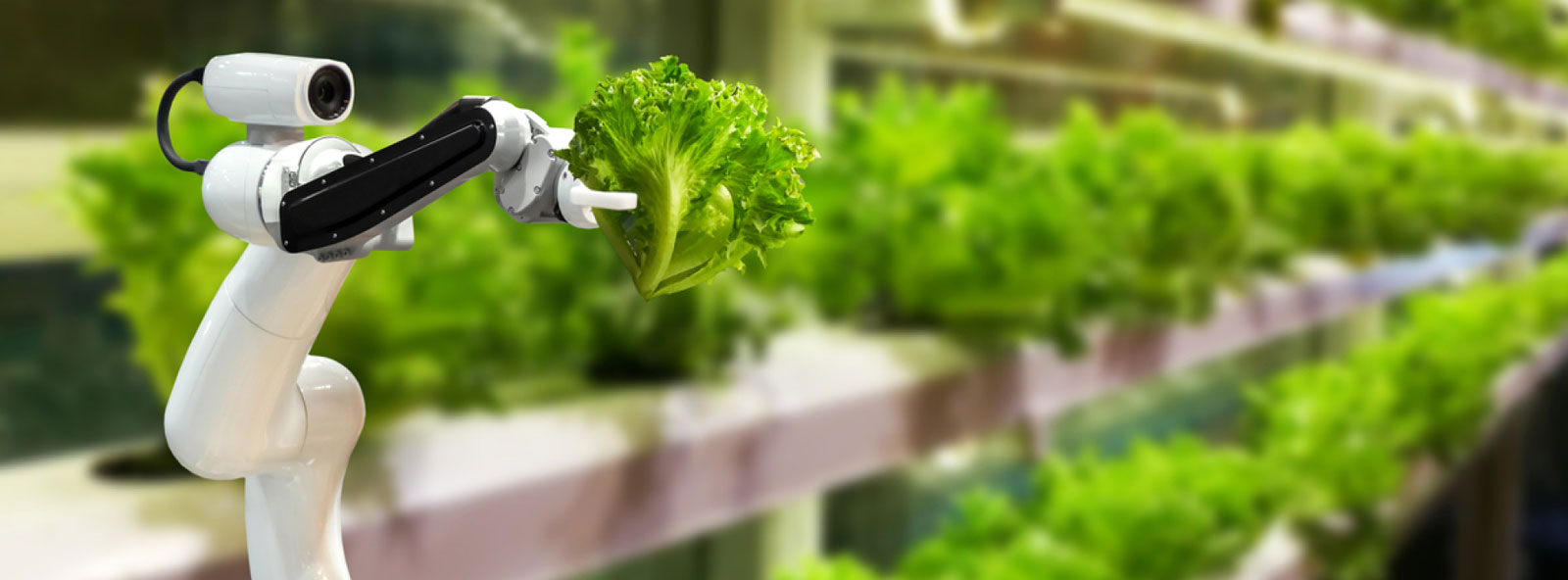 Trang chủ 24 banner 2